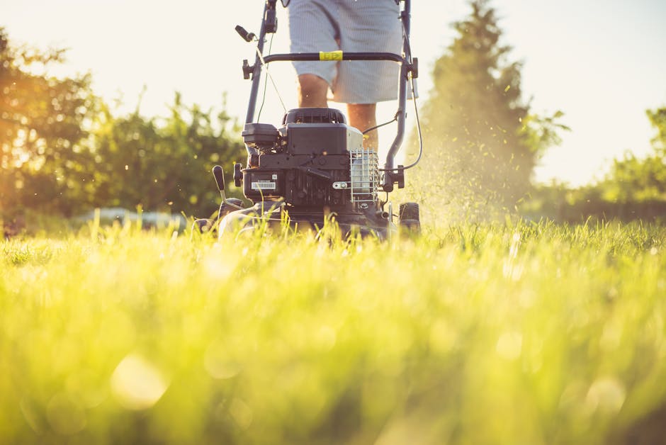 A person using a petrol-powered lawnmower to cut a lush green lawn in a garden during late afternoon sunlight. The mower's engine and blades are visible as they work through the grass, creating a fres